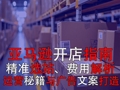 亚马逊开店指南：精准选站、费用解析、运营秘籍与广告文案打造