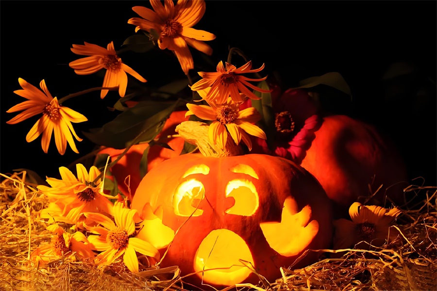 t恤定制万圣节元素